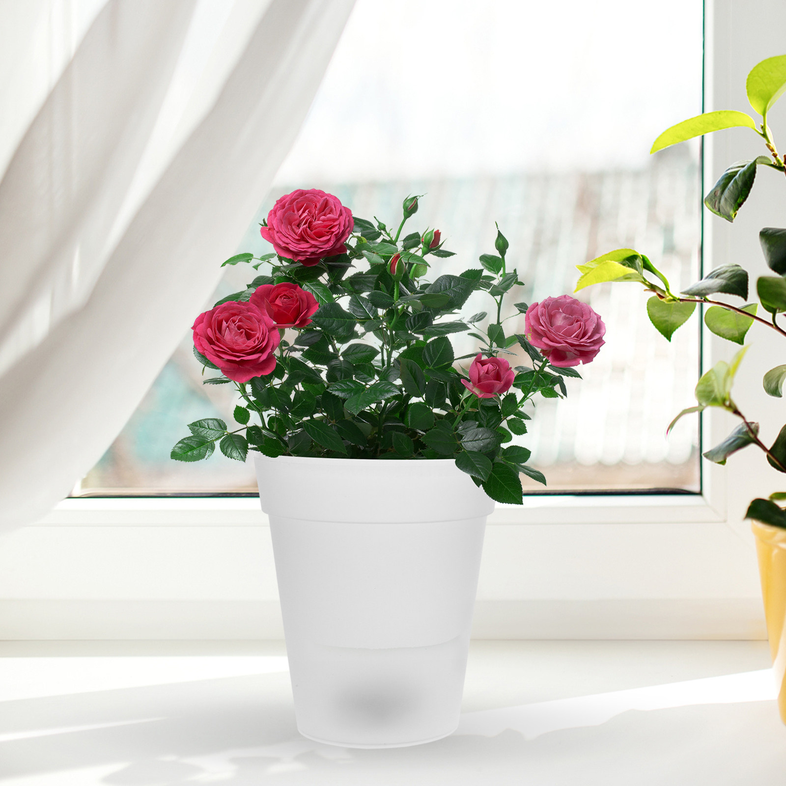 Flowerpot Solar Light Outdoor  - Christmas Lights Outdoor review and price