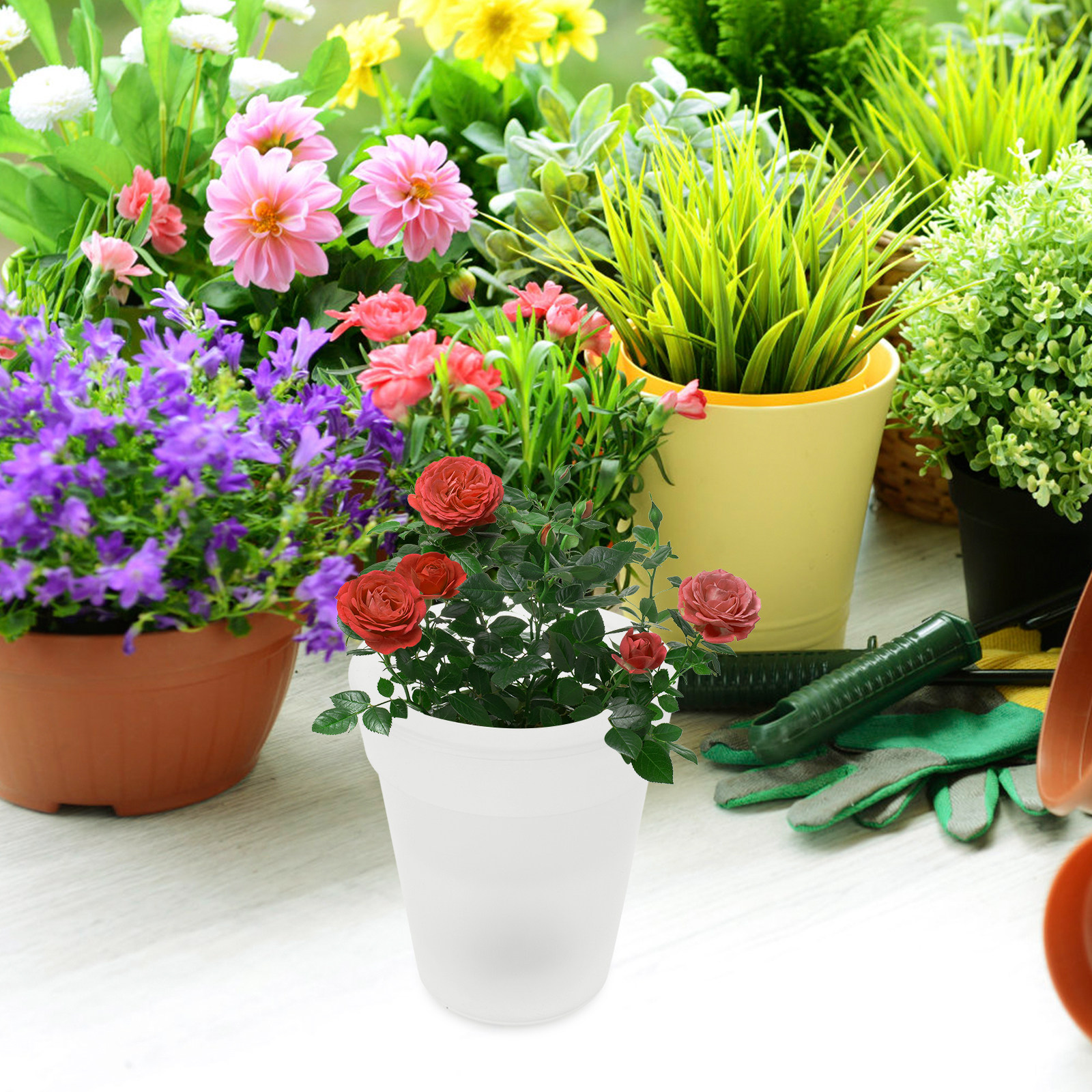 Flowerpot Solar Light Outdoor  - Christmas Lights Outdoor review and price